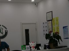 -中农国际动物医院24小时·猫科·骨科·急重症中心