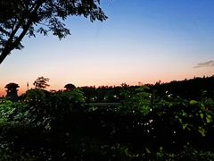 -西安汉城湖景区