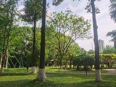 -温江公园