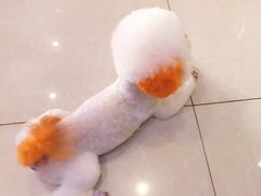 -宠颐生宠物医院·综合诊疗(先锋分院)