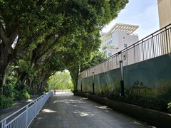 -人民公园(罗湖区)