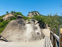 -大岭沟猕猴桃谷风景区