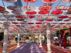 -广东花都香草世界旅游度假区