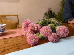 -花间禅净·瑜伽