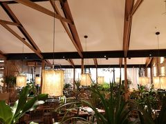 -大头椰·椰子鸡火锅(南宁万象城店)