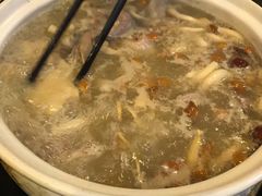 -鸽鸟轩(石岐店)