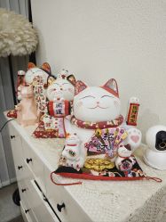 -芮悦·璀璨无创洗眉·专业洗眼线·专业洗唇