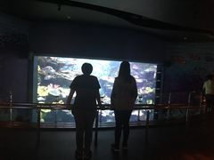 -暹罗海洋世界