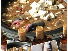 -姥家大锅台水库渔家
