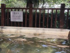 -汤山一号温泉度假区