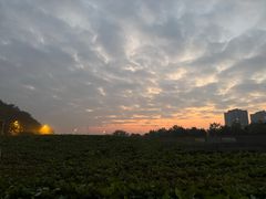 -三圣花乡旅游区