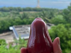 -三亚南山迎宾馆