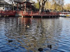 -后海公园