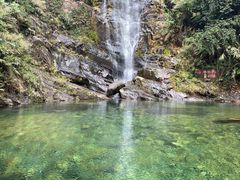 -鼎湖山风景区