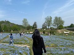 -上海佘山国家森林公园天马山园