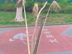 -贡湖湾湿地公园
