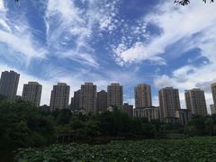 -龙头寺公园