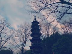 -上海佘山国家森林公园西佘山园