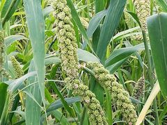 -汉长安城未央宫国家考古遗址公园