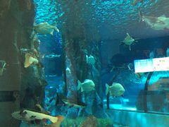 -福州罗源湾海洋世界旅游区