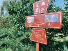 -永定河休闲森林公园