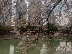 -红星桥(地铁站)