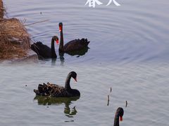 -颐和园