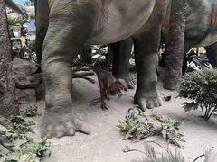 -国家自然博物馆