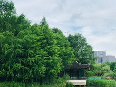 -巡塘古镇