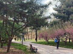 -元大都城垣遗址公园