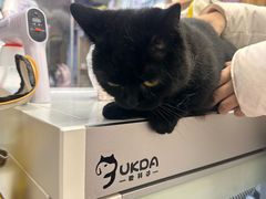 -FAELING PETS美天灵宠物(富力广场店)