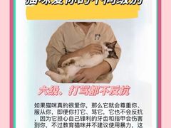 -美联众合动物医院·24h转诊中心