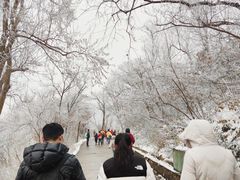 -紫金山山顶公园