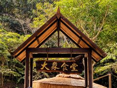 -野象谷景区