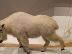 -陕西自然博物馆