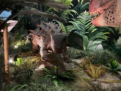 -陕西自然博物馆