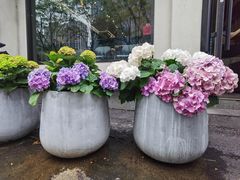 -原麦世家(府琛大厦店)