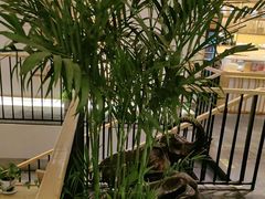 -瓦舍茶馆(聚源路店)
