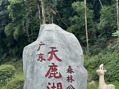 -天鹿湖森林公园