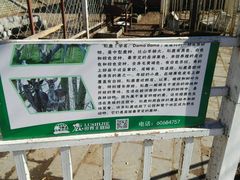 -北京鹿世界主题园