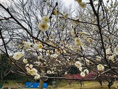 -采石矶景区