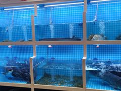 -聚丰园•湖鲜餐厅(阿红私房菜梅石路店)