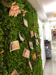 -母仪天下月子中心(光谷店)