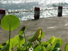 -七七家的糖水店(南湾街1号店)
