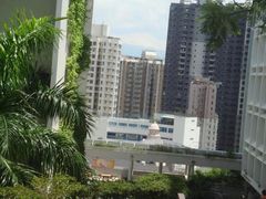 -香港大学