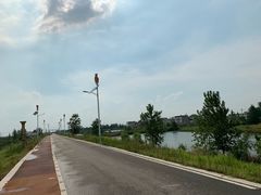 -焦岗湖旅游度假区