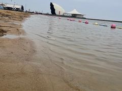 -碧海金沙