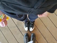 -白洋淀景区