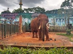 -昆明动物园