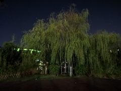 -飞凤山奥体公园